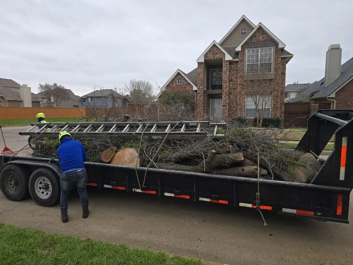 Expert Tree Pest Control with proper safety equipment in Wakefield